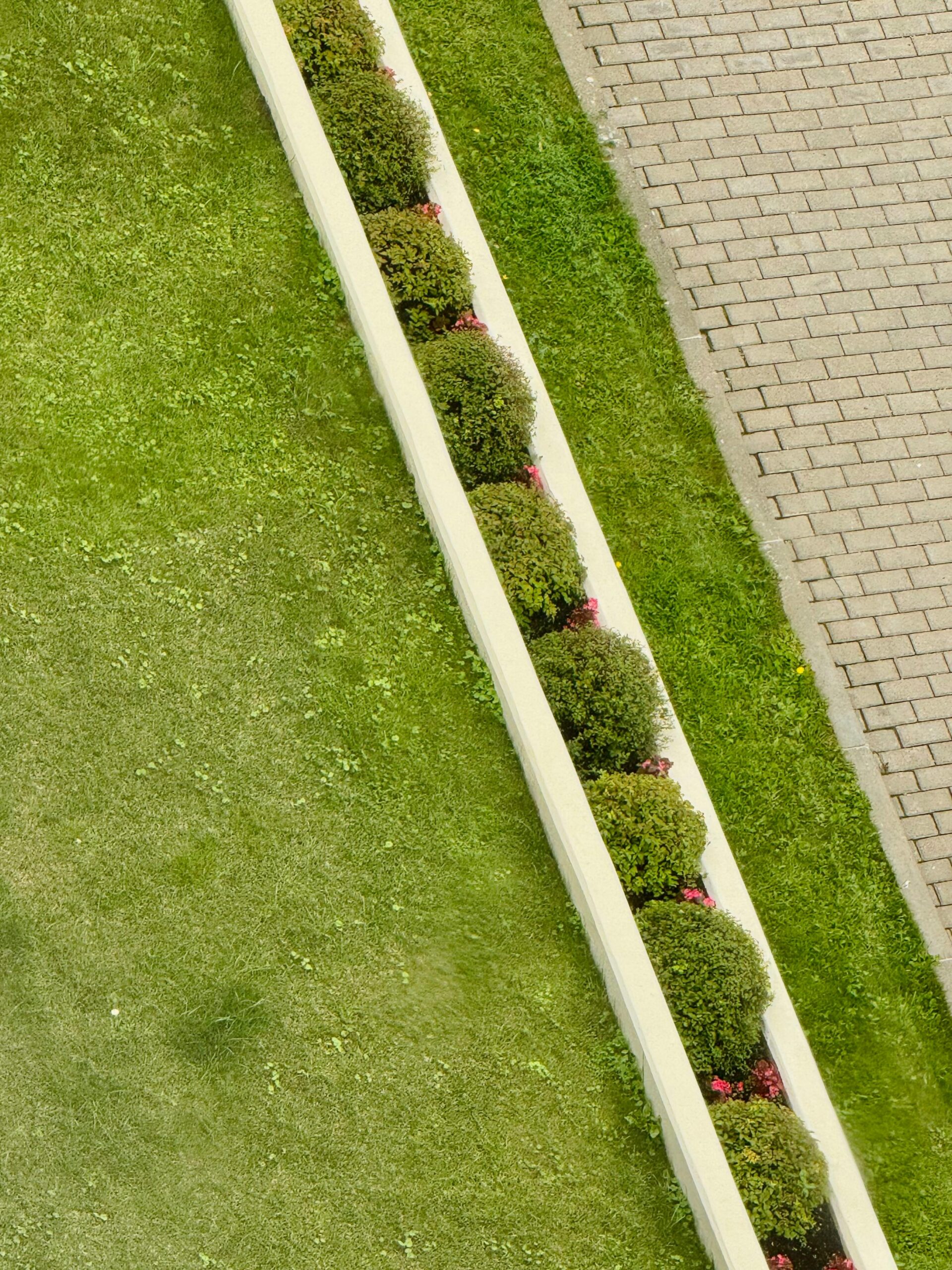 landscaping dayton (2)